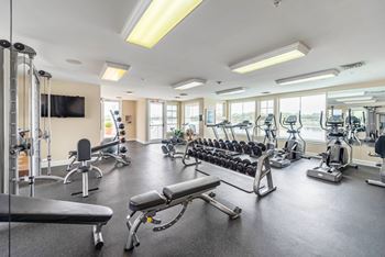 A spacious gym with a variety of equipment including treadmills, weights, and exercise machines.